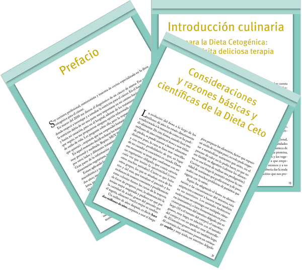 Libro Dieta cetogénica-3 páginas-1-600x537